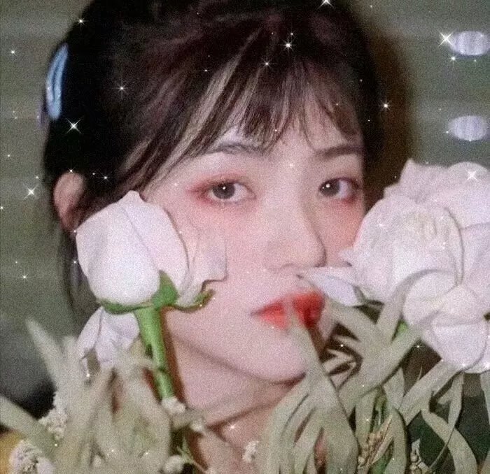 我的卡路里男孩